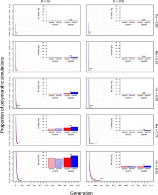 Habitat Shape Affects Polyploid Establishment in a Spatial, Stochastic Model